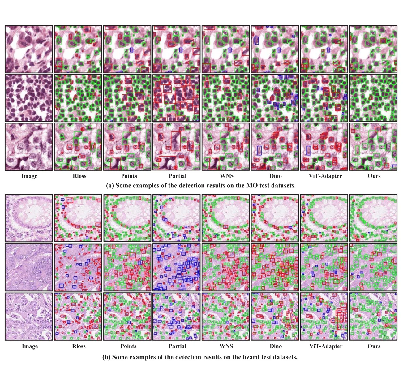 Position-based anchor optimization for point supervised dense nuclei detection 主要结果