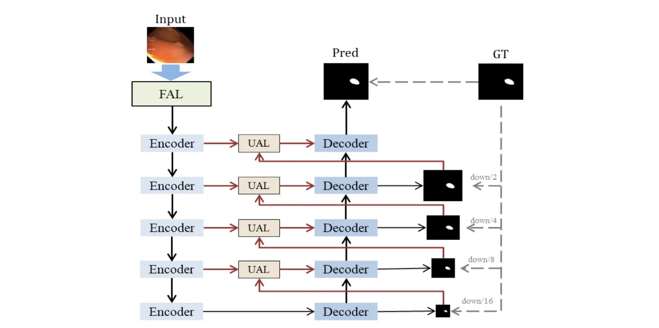 Frequency-augmented and uncertainty-aware learning for polyp segmentation 示意图