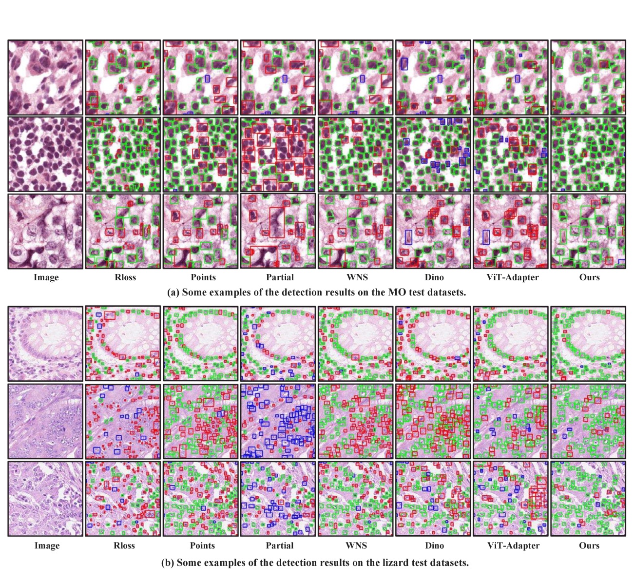 Position-based anchor optimization for point supervised dense nuclei detection 主要结果