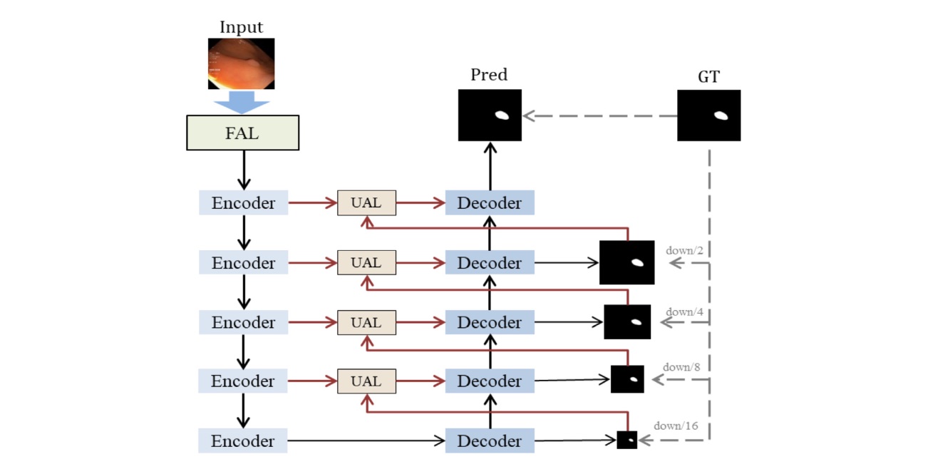 Frequency-augmented and uncertainty-aware learning for polyp segmentation 示意图